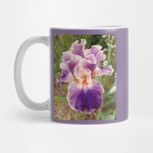 Purple Iris Flower - Enchanted Mug